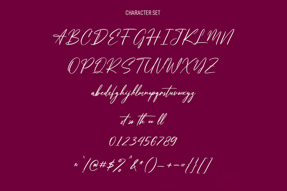 Amore Roses Signature Script Font, a Script Font by MACK 75 (Photo 4 of 4)