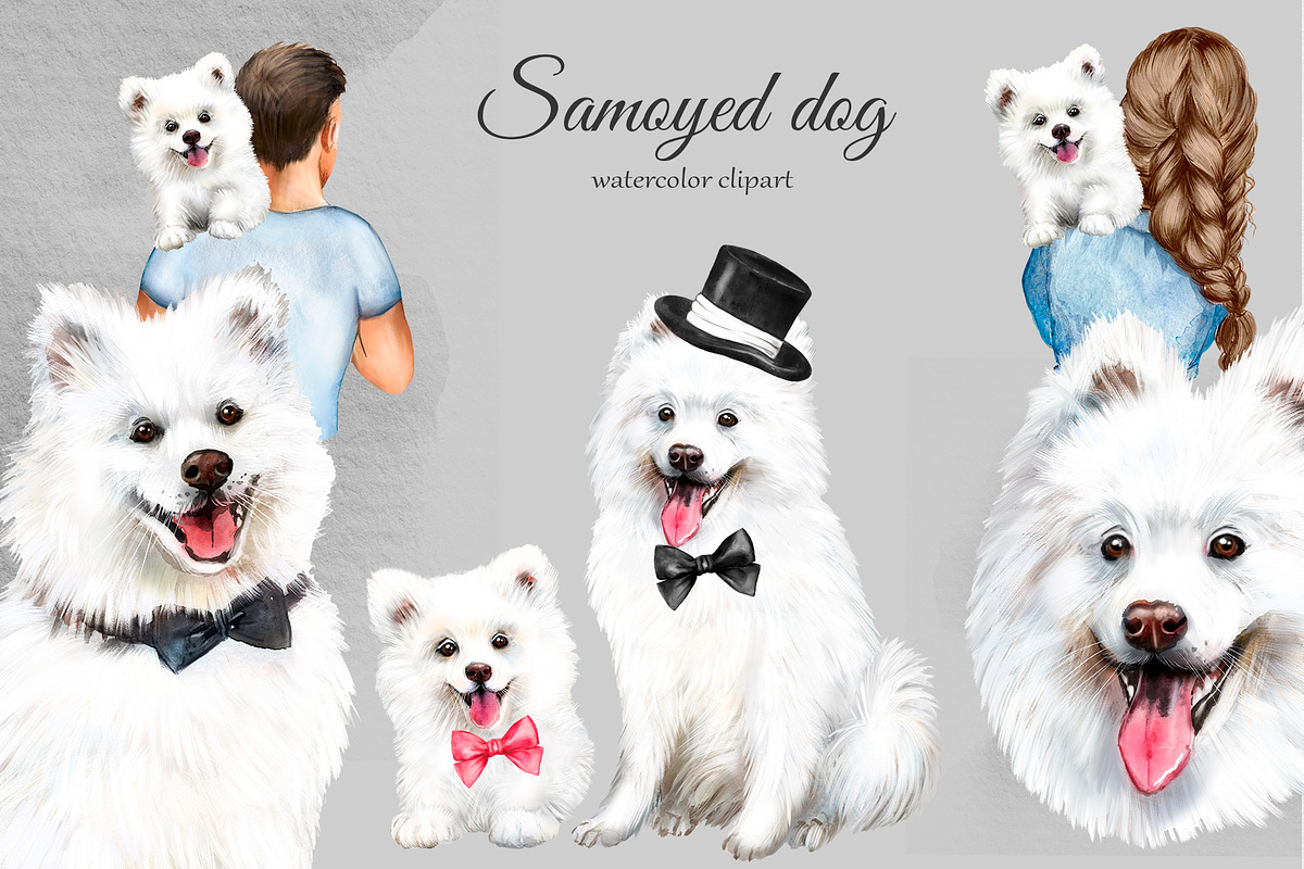 Samoyed dog watercolor clipart., an Animal Illustration by SavinV (Photo 1 of 6)