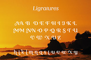 Vintage Oracle Typeface, a Serif Font by HipFonts (Thumbnail 11 of 12)