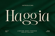 Ligature Elegant Serif - Haggia, a Serif Font by Font Liner (Thumbnail 1 of 8)