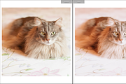 FURRY FRIENDS MOBILE PRESET, a Preset Add-On by Fltrr Lightroom Presets (Thumbnail 2 of 8)