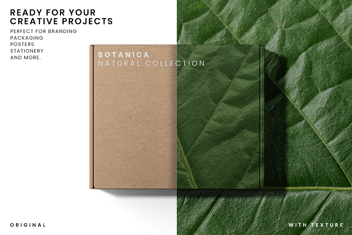 Realistic Green Leaf Textures, a Texture Graphic by Ary_ngeblur (Photo 4 of 4)