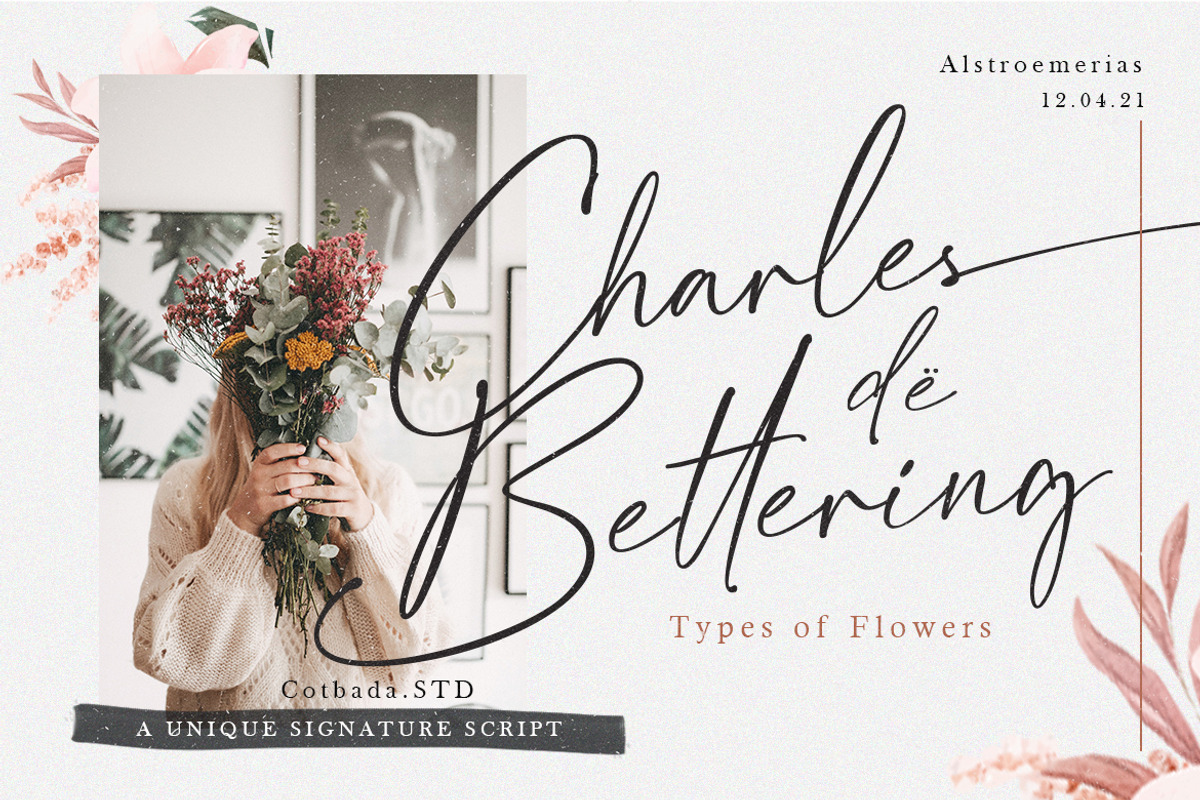 Strainger Signatures  Font, a Script Font by Cotbada_studio (Photo 8 of 9)