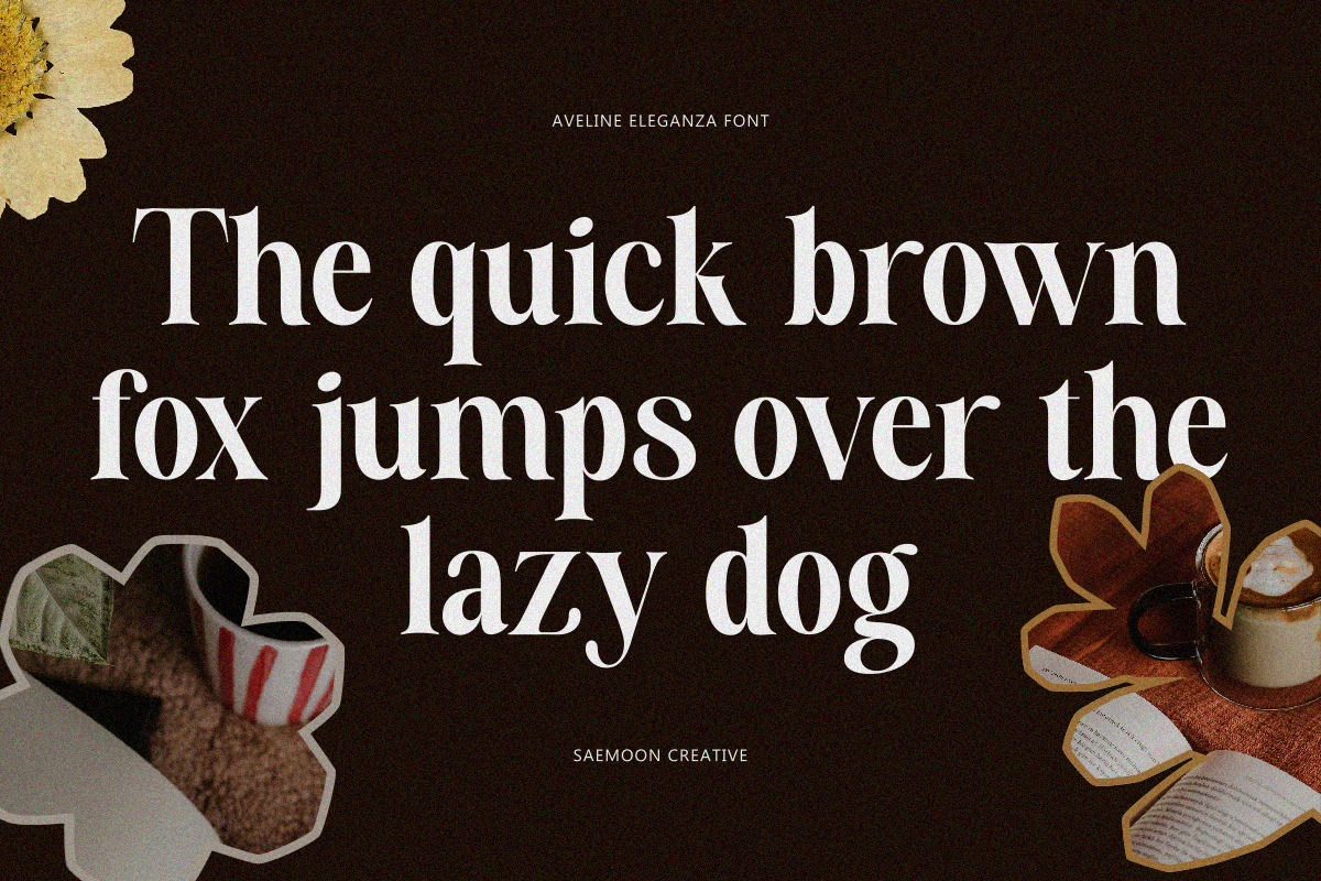 Aveline Eleganza, a Serif Font by saemoon creative (Photo 13 of 13)