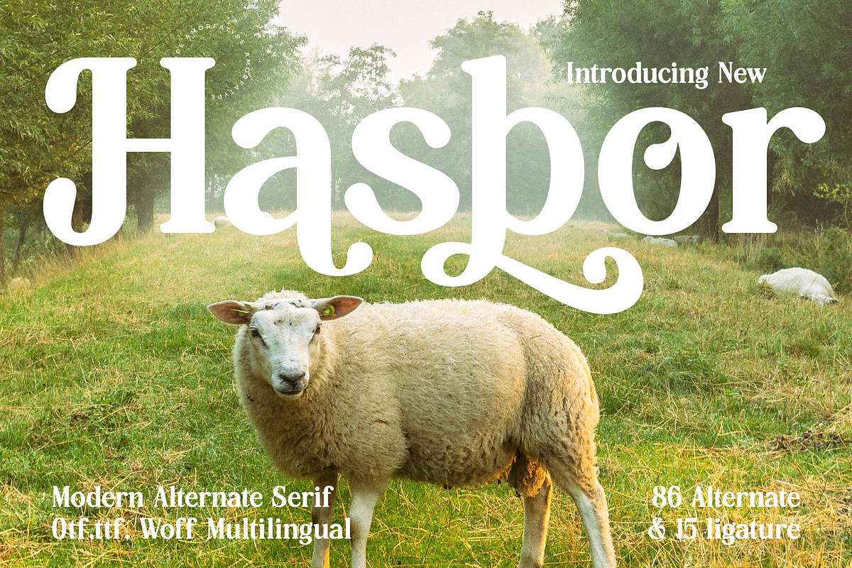 Hasbor Modern Alternate Serif Font, a Serif Font by AmorfaType (Photo 1 of 11)