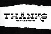The BUCKAROOZ, a Serif Font by inumocca_type (Thumbnail 11 of 11)