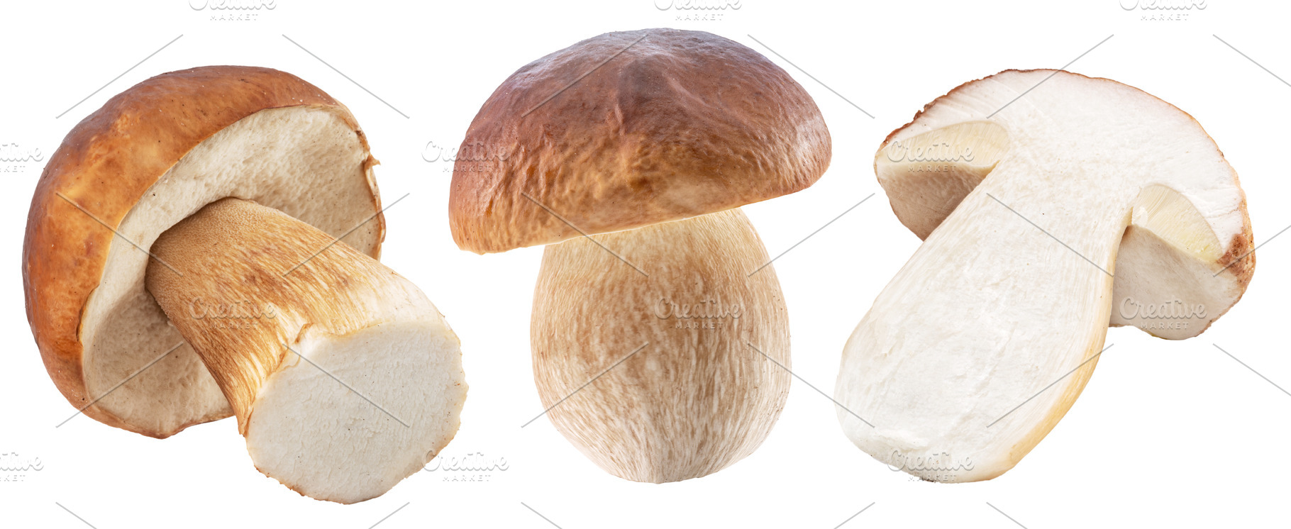 Group of porcini mushrooms isolated, a Food & Drink Photo by Volff