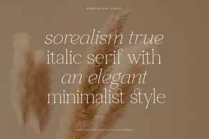 Sorealism Serif Font