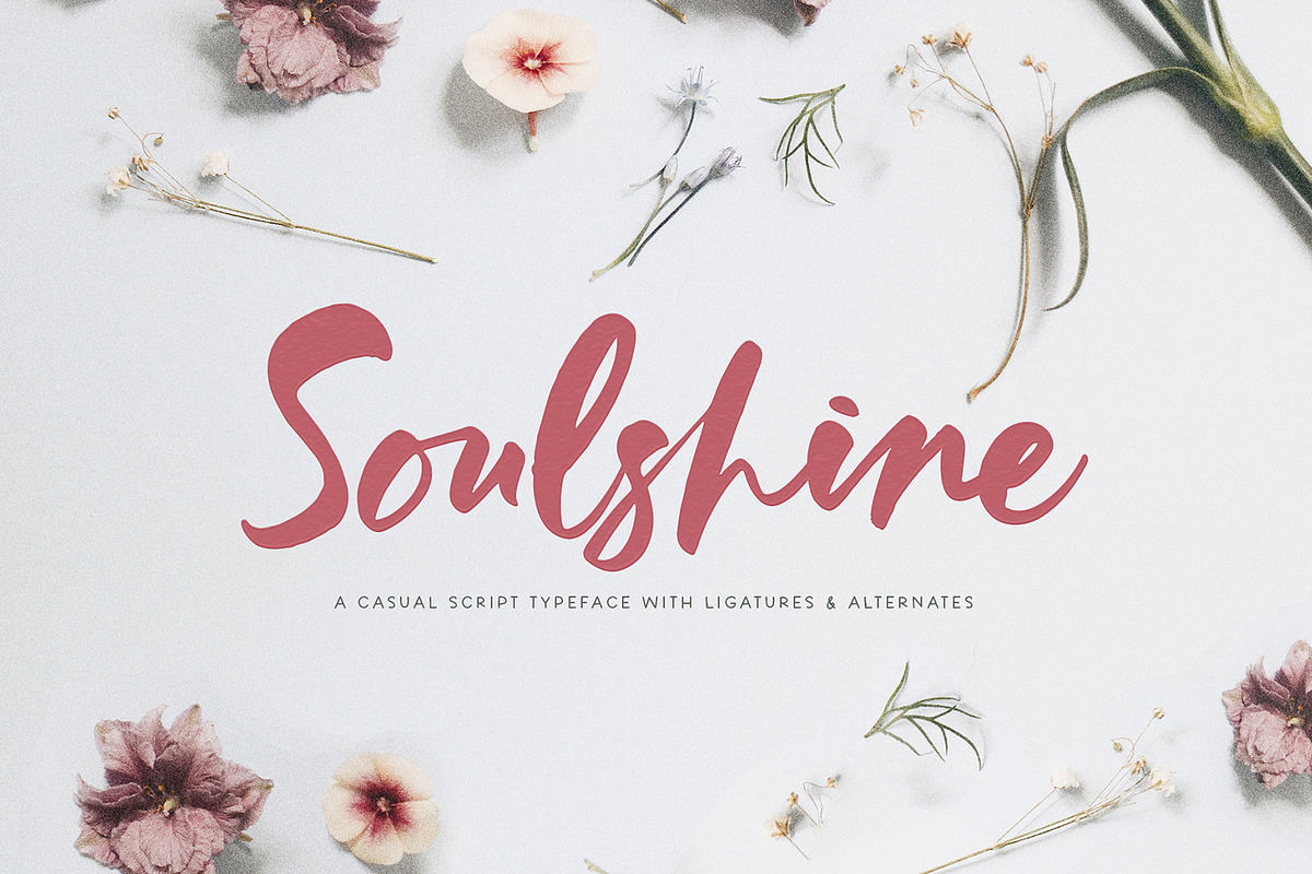 Soulshine Brush Script, a Font by Callie Rian & Co. (Photo 1 of 15)