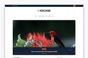Lifestyle Blog WordPress Theme, a WordPress Template by DesignOrbital (Thumbnail 1 of 3)