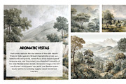 30+ Corsican Maquis Bundle, a Decorative Illustration by Virgo Studio (Thumbnail 4 of 6)
