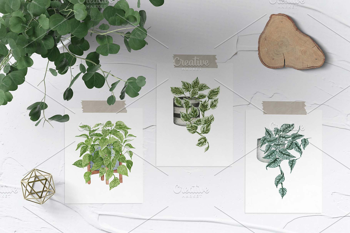 House Plants Watercolor Collection, an Object Graphic by BarvArt (Photo 5 of 8)
