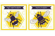 Bees set, illustrations + patterns, an Animal Illustration by OKart.studio (Thumbnail 2 of 6)