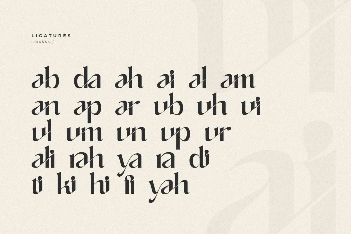 Alifira - Beauty Elegant Font, a Sans Serif Font by Sensatype (Photo 13 of 17)