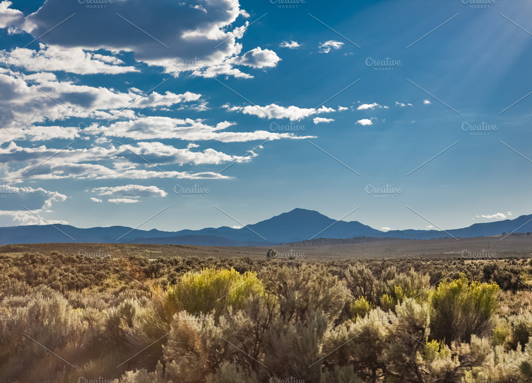 Colorado Desert, a Nature Photo by Barbara's iCandy