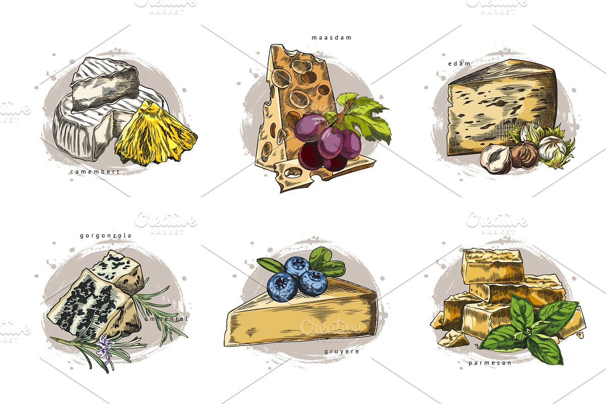 Watercolor set of cheese types with, a Food Illustration by Sabelskaya