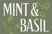 Gerhard: A Modern Classic Font, a Serif Font by Black Lab Type (Thumbnail 6 of 7)