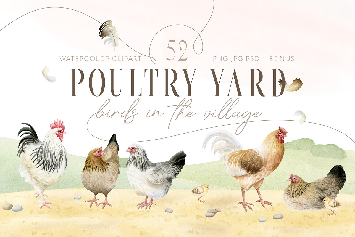 Poultry Yard Watercolors Farm Birds, an Animal Illustration by Elena Malgina Clipart (Photo 1 of 7)