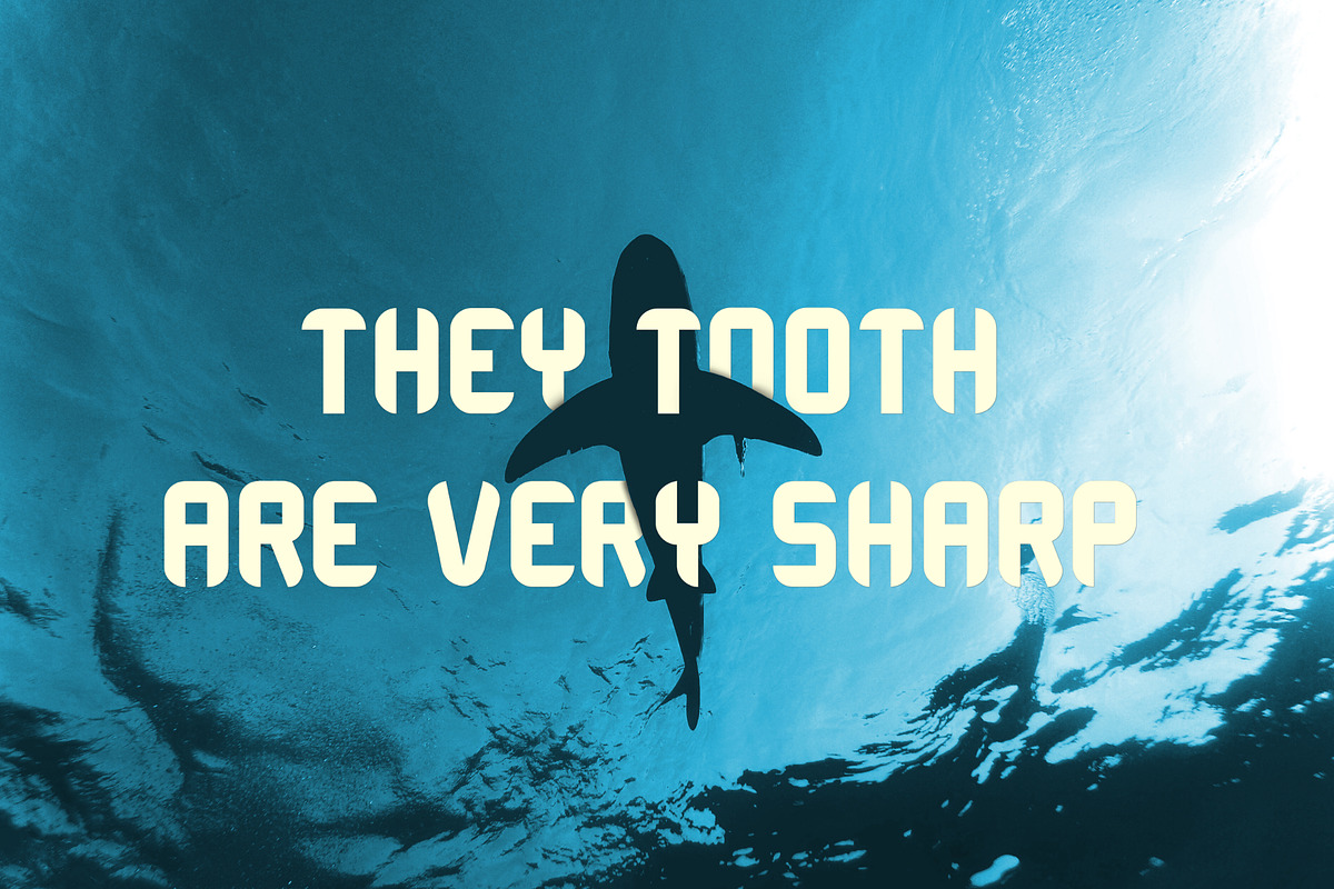 SHARKBEAT, a Sans Serif Font by futureisyesterday (Photo 4 of 4)