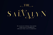 Salvalyn - Stylistic Serif Font, a Serif Font by Craft Supply Co. (Thumbnail 4 of 12)