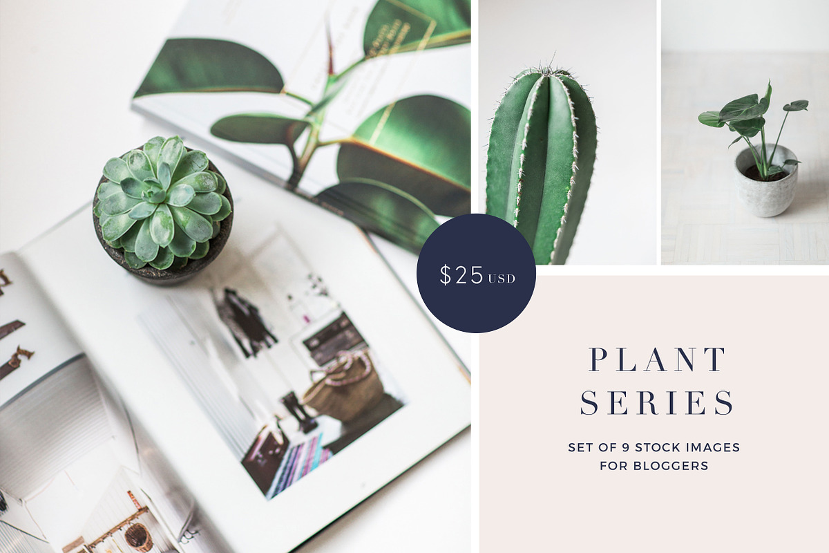 Plant series stock photos, a Nature Photo by Nellaino (Photo 1 of 6)