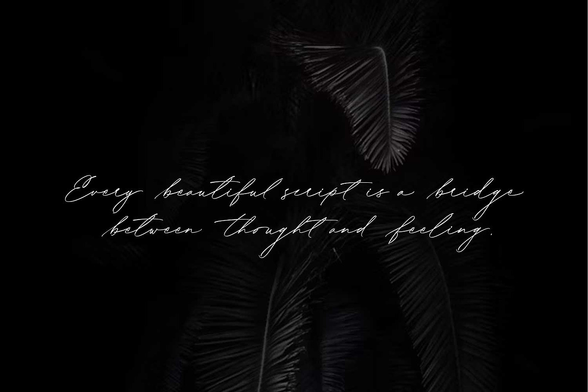 Bonadia - Modern Script Font, a Script Font by Cititype (Photo 5 of 14)