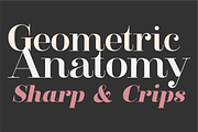 Clarize Family, a Serif Font by seventhimperium (Thumbnail 3 of 7)