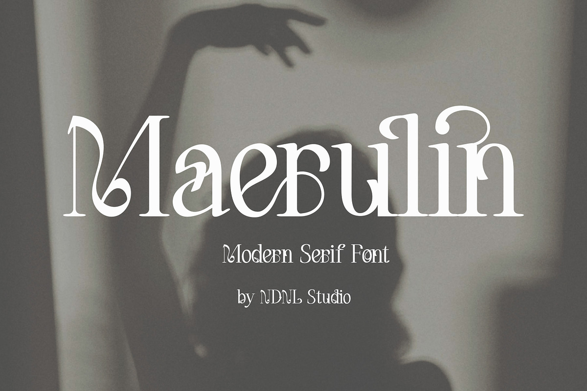 Maerulin – Serif Font, a Serif Font by NDNL Studio (Photo 1 of 13)