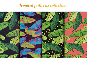 Tropical Palm Vector Patterns Set