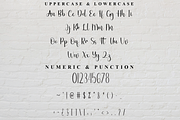 SignatureHandwriting, a Handwritten Font by FreshTypeINK (Thumbnail 7 of 8)
