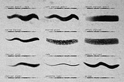 Charcoal Brushes For Procreate, a Brush Add-On by Easy Procreate (Thumbnail 6 of 8)