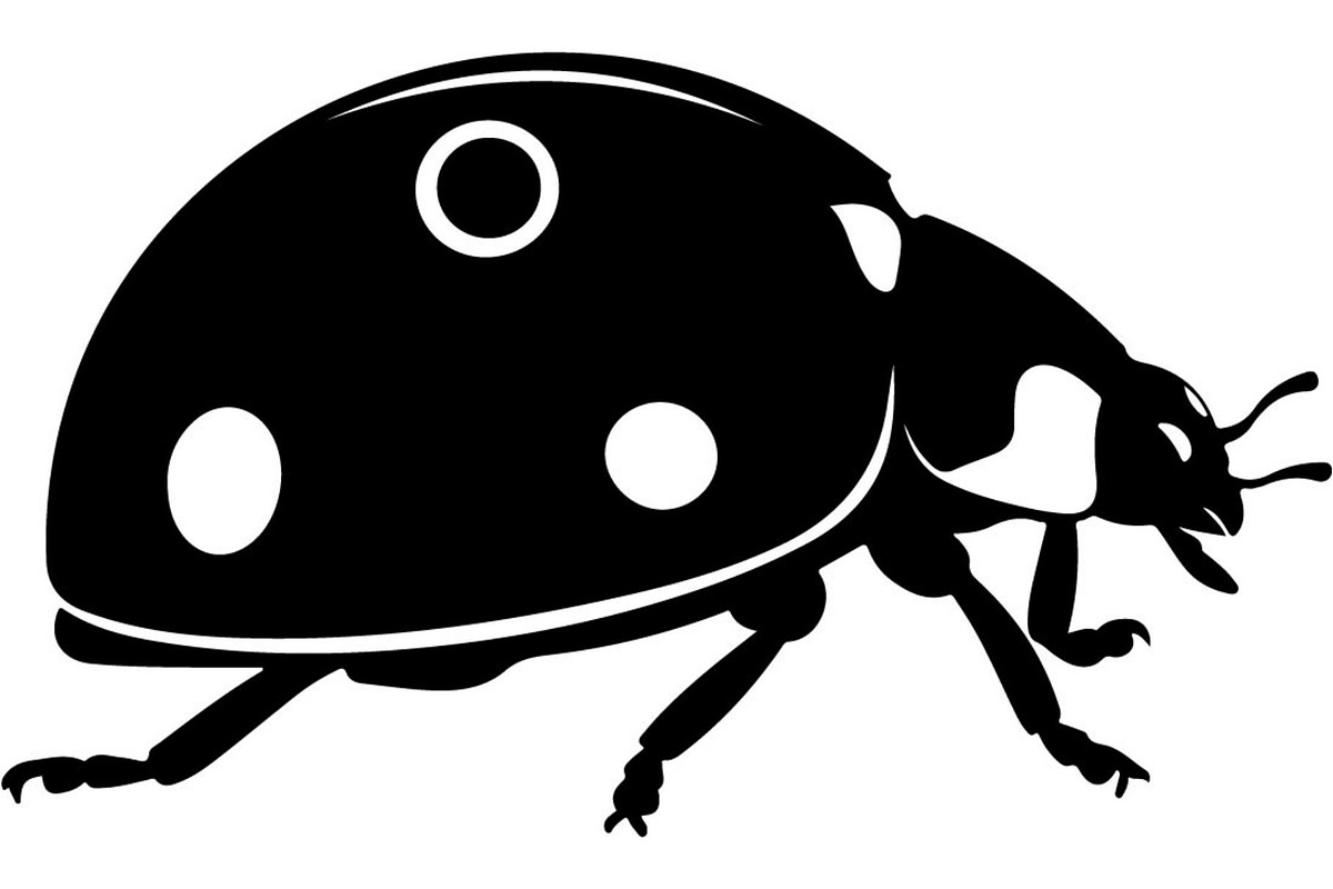 Ladybug Silhouette, an Object Graphic by Designer_Momina (Photo 14 of 20)
