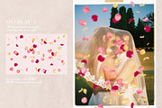 Multicolored Rose Petals Overlays, a Texture Graphic by Kaleriia (Thumbnail 5 of 16)