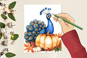 Cute Autumn Peacock Sublimation, an Illustration by CitraGraphics (Thumbnail 6 of 6)