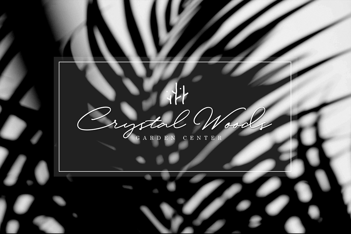 Mark Rasford Signature Font Script preview 4