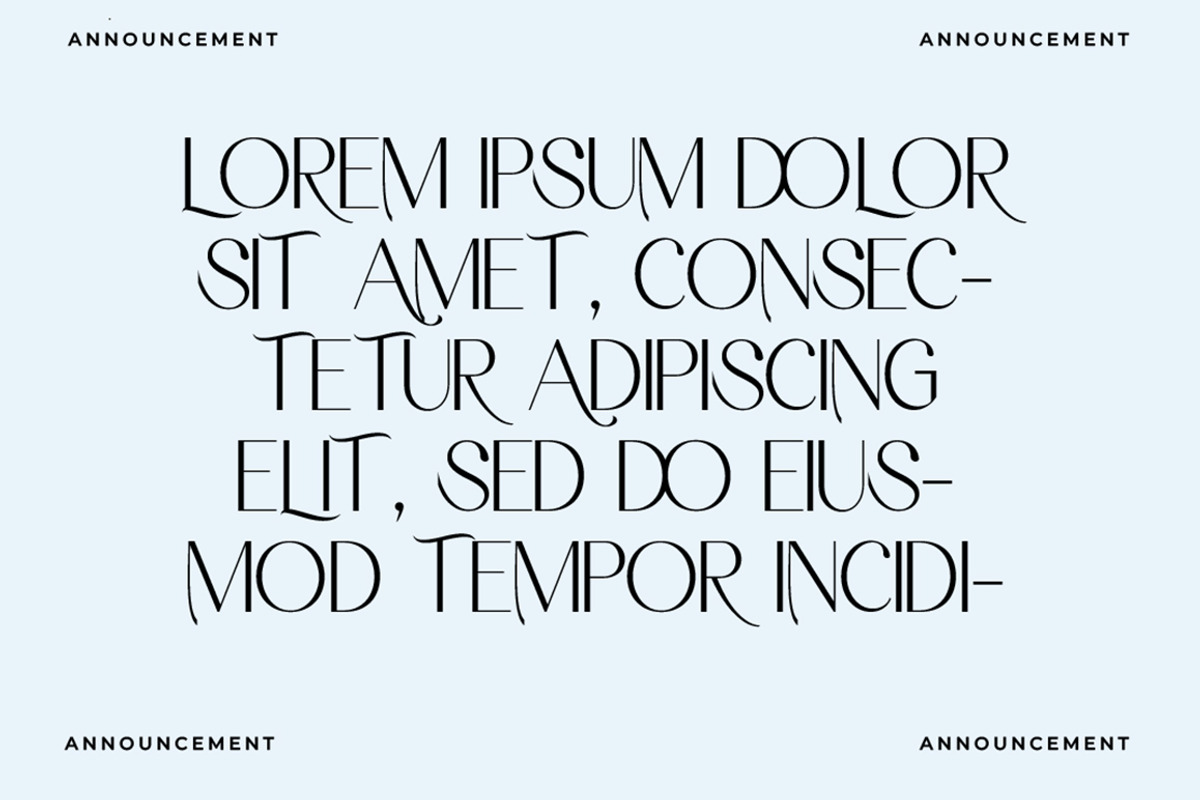 HEROVA, a Serif Font by Gatype (Photo 4 of 13)