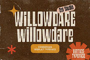 Willowdare – Condensed Display Font, a Sans Serif Font by Get Studio (Thumbnail 1 of 11)