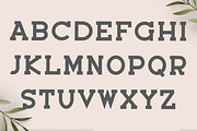 Exited, a Script Font by FreshTypeINK (Thumbnail 7 of 8)