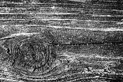 Wood Grain Overlay / Texture Pack 1, a Texture Graphic by Ryan McGehee (Thumbnail 11 of 13)
