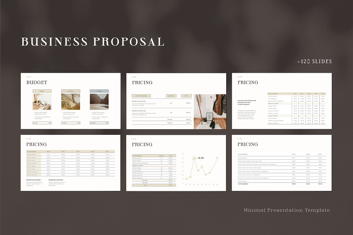 Business Proposal Powerpoint, a Presentation Template by SlideCo (Photo 17 of 25)