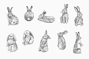 Easter Rabbits