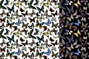 Butterflies Hand Drawn Collection