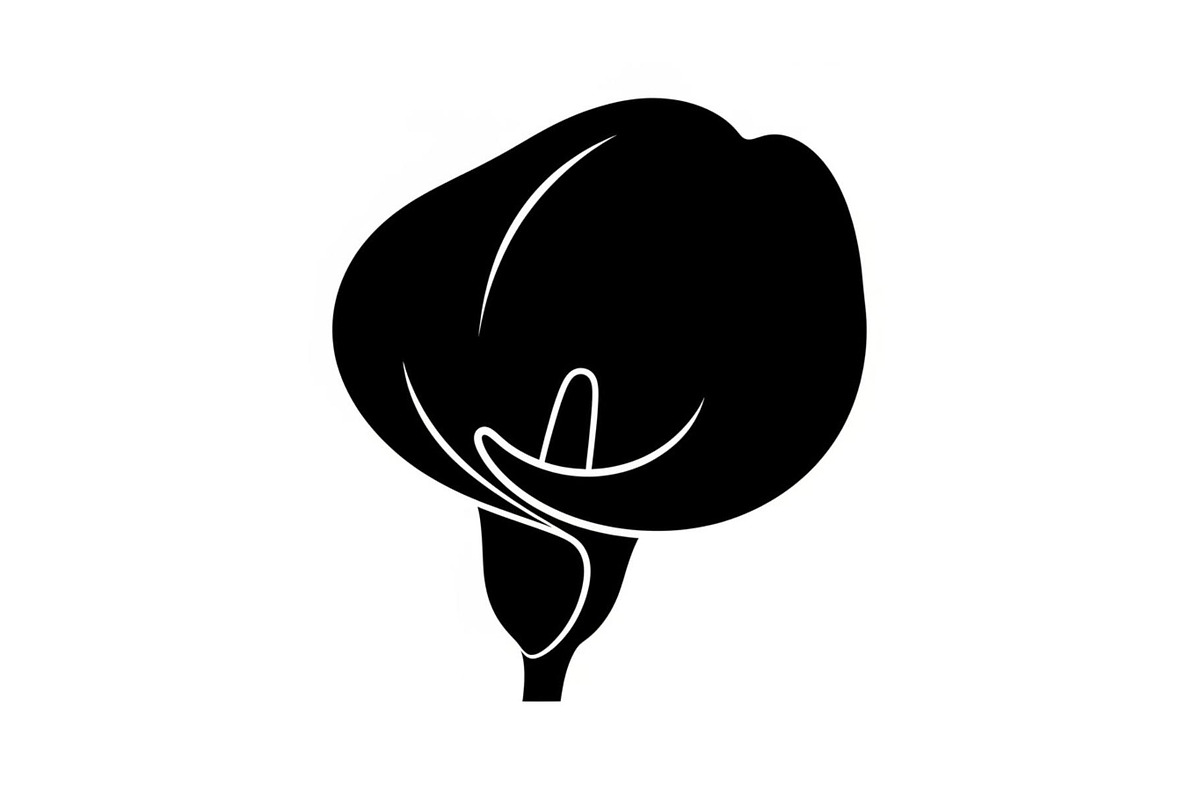 Black Lily Flower Vector Bundle, an Illustration by Designs_River (Photo 13 of 51)