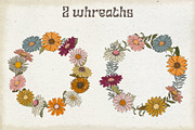 Set of SVG & PNG retro Daisies, a Decorative Illustration by marie dricot (Thumbnail 6 of 10)