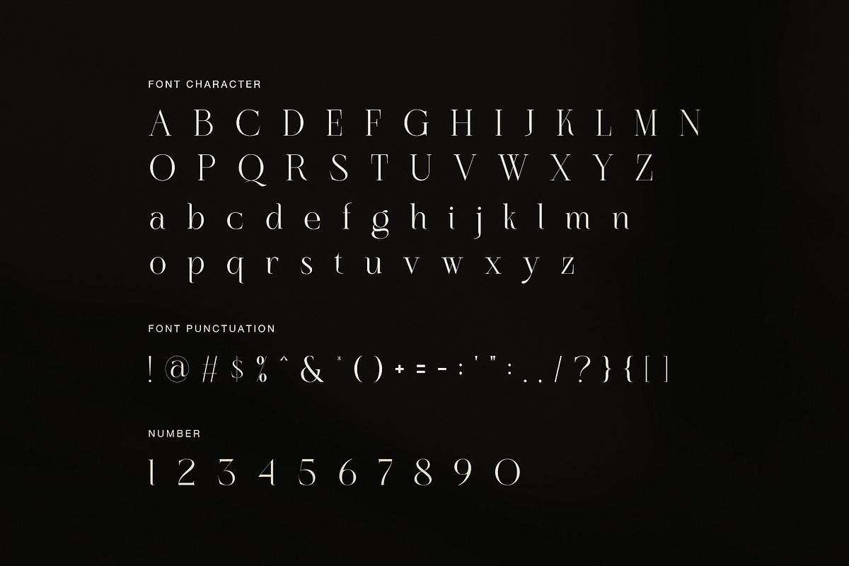 Celion Elegant Ligature Serif Font, a Serif Font by Graphicxell (Photo 7 of 8)