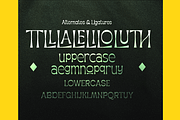 Apagah Reverse, a Serif Font by Differentialtype (Thumbnail 9 of 10)