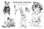 Wild animals. Sketch edition. 22 PNG, an Animal Illustration by Art by Lady Natali (Thumbnail 3 of 6)