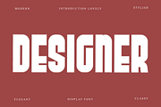 Designer, a Script Font by FreshTypeINK (Thumbnail 1 of 8)
