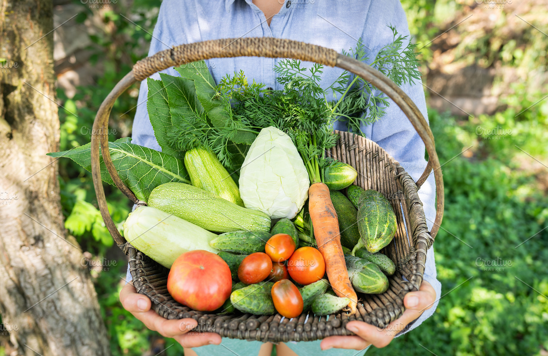 The farmer stands in the garden and holds a wooden basket with homemade vegetab, a Food & Drink Photo by Artsaba Family