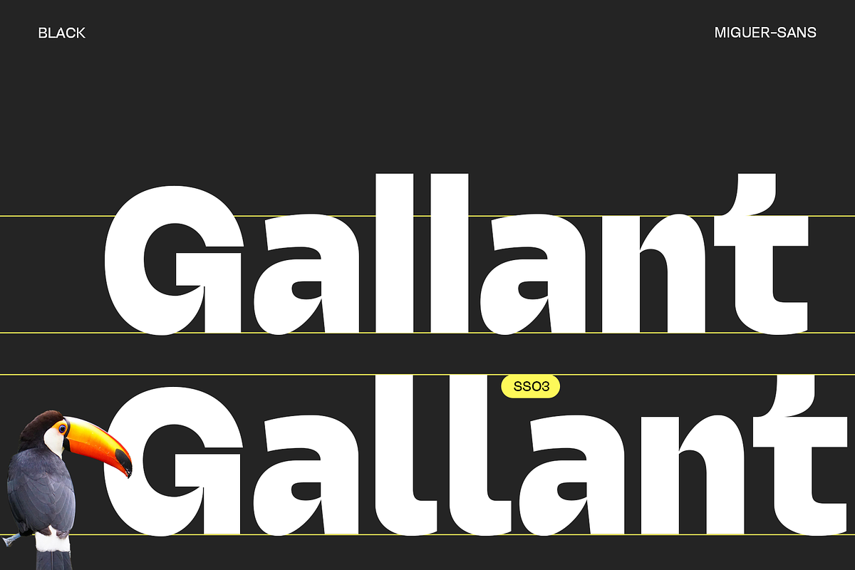 Miguer Sans | Contrast Sans, a Sans Serif Font by Jolicia Type (Photo 8 of 21)